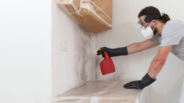 Professional Basement Mold Remediation technician working in Lakeside, TX